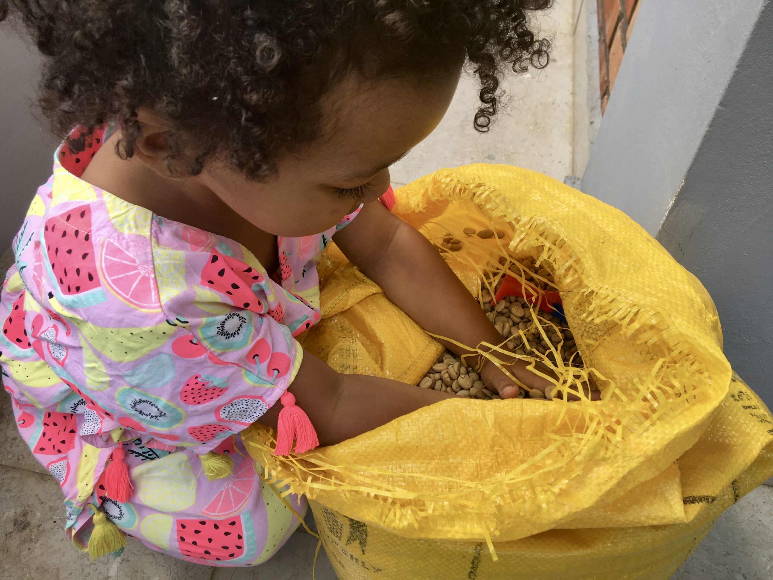 Our kids love to feel and count beans of parchment coffee when a bag arrives home.